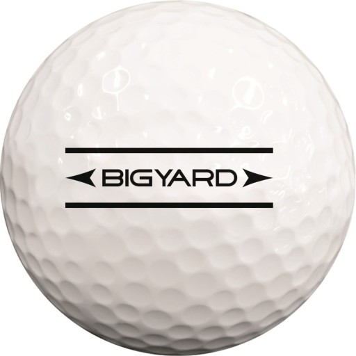 넥센 빅야드 BIGYARD PD 골프공