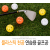 코비스 플라스틱 천공 연습용 골프공 12PCS PB001