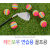 코비스 레인보우 연습용 골프공 12PCS PB003