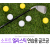 코비스 소프트 엘라스틱 연습용 골프공 12PCS PB005
